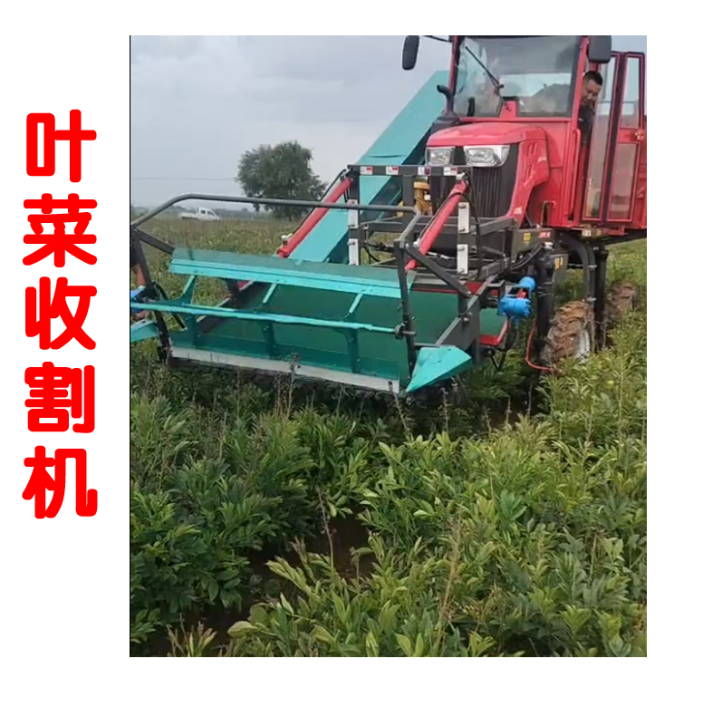 叶菜收割机